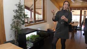 Lydia von Agrilution erklärt den Plantcube